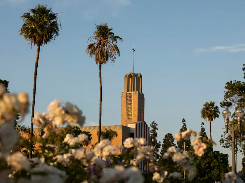 Palm trees and roses framing a bell tower in Anaheim at golden hour
