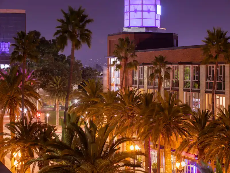 Illuminated tower and palm trees in downtown Anaheim at night