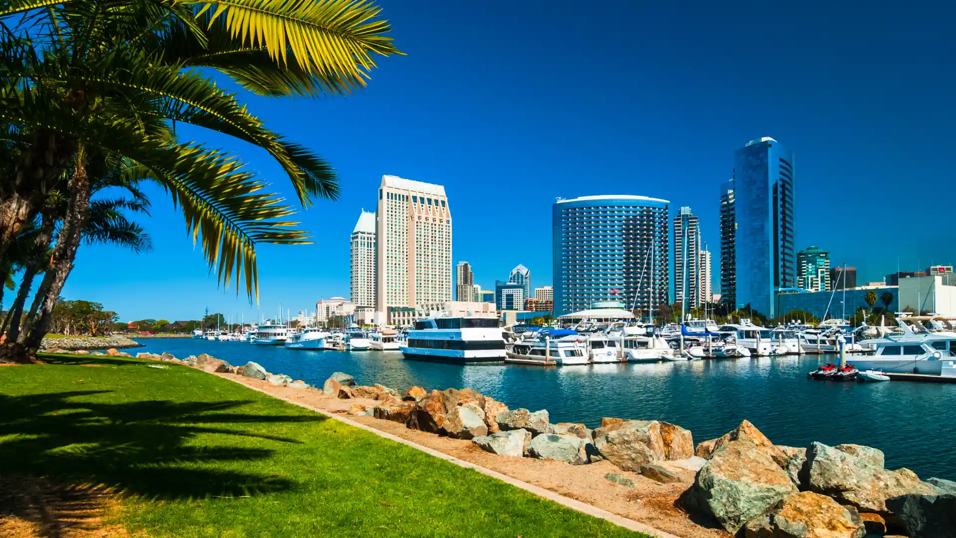 San Diego trade show