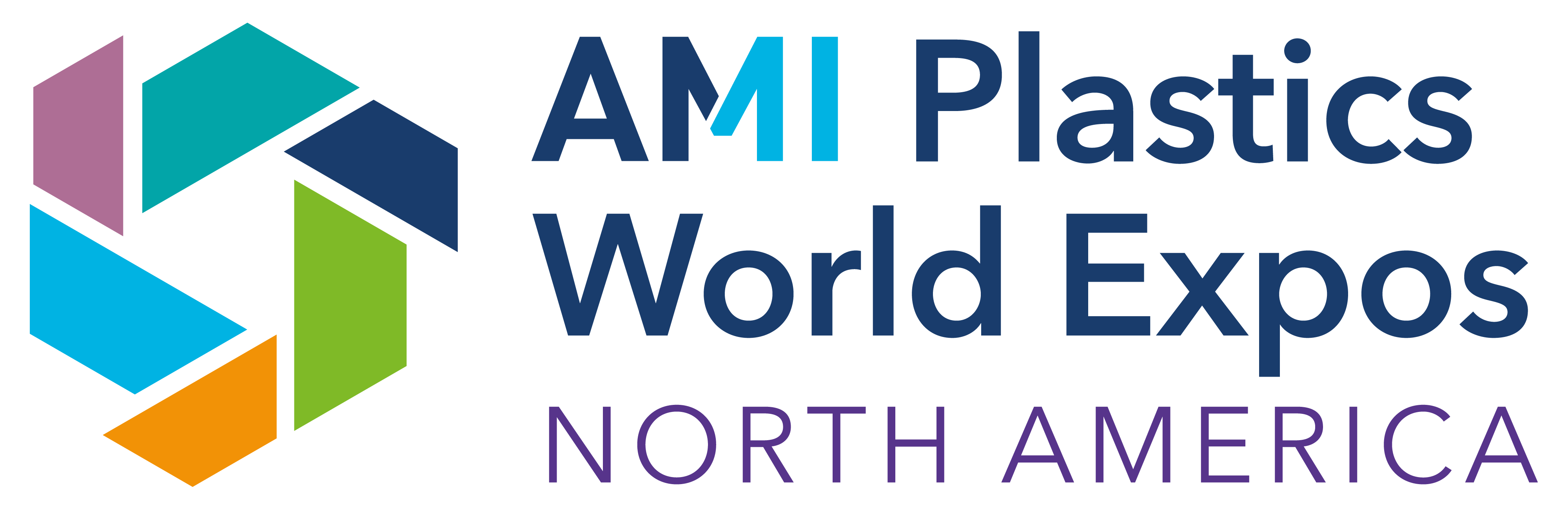 AMI_Logo